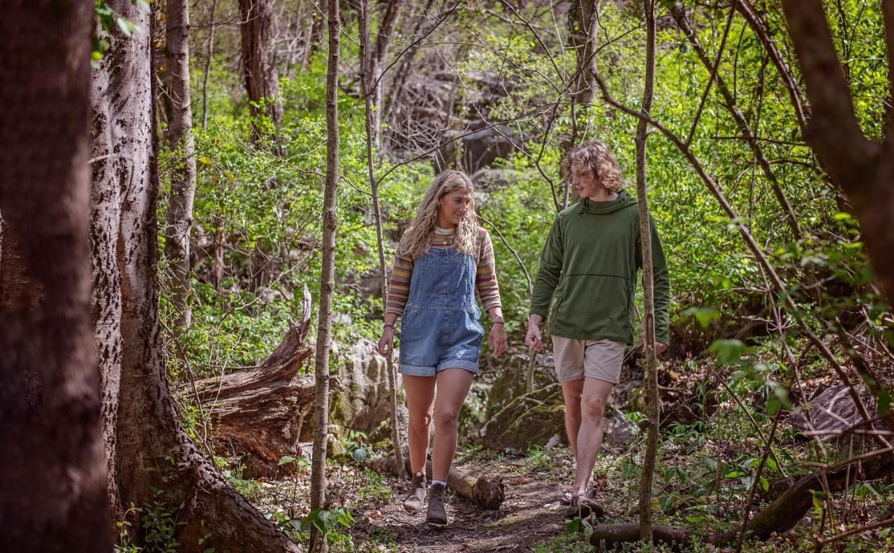 Thomas Cabin Forest Tiny Cabin With Hot Tub Chattanooga Ngoại thất bức ảnh